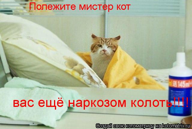 Котоматрица: Полежите мистер кот  вас ещё наркозом колоть!!!!