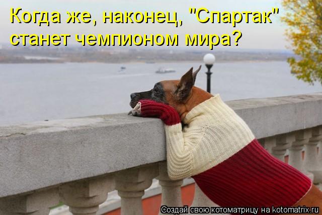 Котоматрица: Когда же, наконец, "Спартак"  станет чемпионом мира?