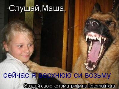 Котоматрица: -Слушай,Маша, сейчас я верхнюю си возьму