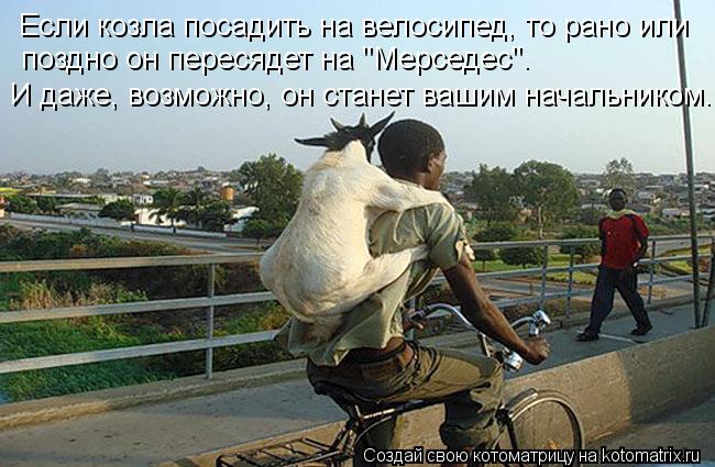 Котоматрица: Если козла посадить на велосипед, то рано или поздно он пересядет на "Мерседес".  И даже, возможно, он станет вашим начальником.