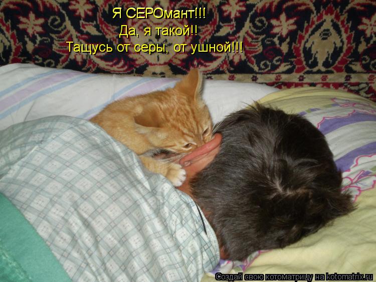 Котоматрица: Я СЕРОмант!!! Я СЕРОмант!!! Да, я такой!! Тащусь от серы, от ушной!!!