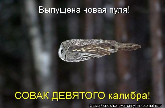 Котоматрица: Выпущена новая пуля! СОВАК ДЕВЯТОГО калибра!