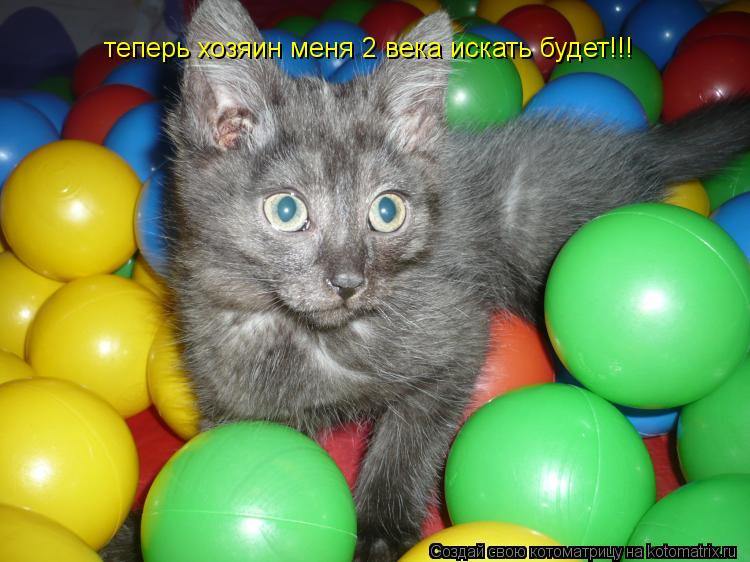 Котоматрица: теперь хозяин меня 2 века искать будет!!!