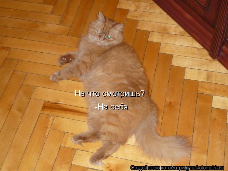 Котоматрица: На что смотришь? -На себя