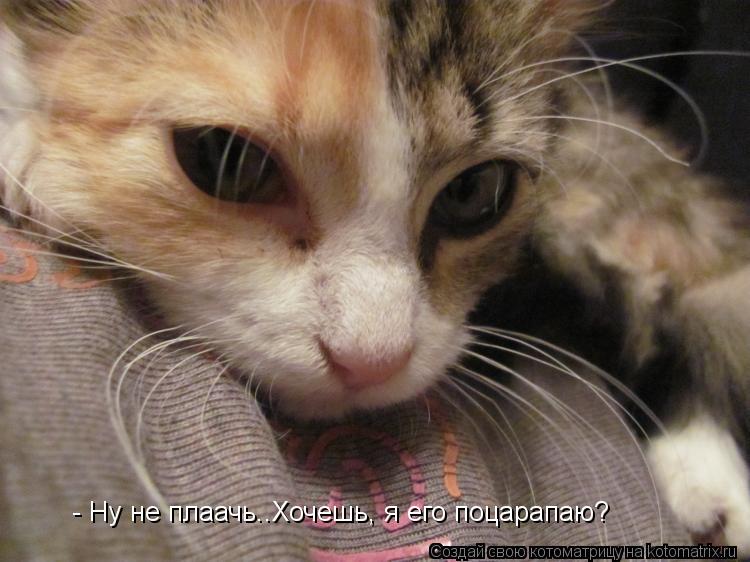 Котоматрица: - Ну не плаачь..Хочешь, я его поцарапаю?