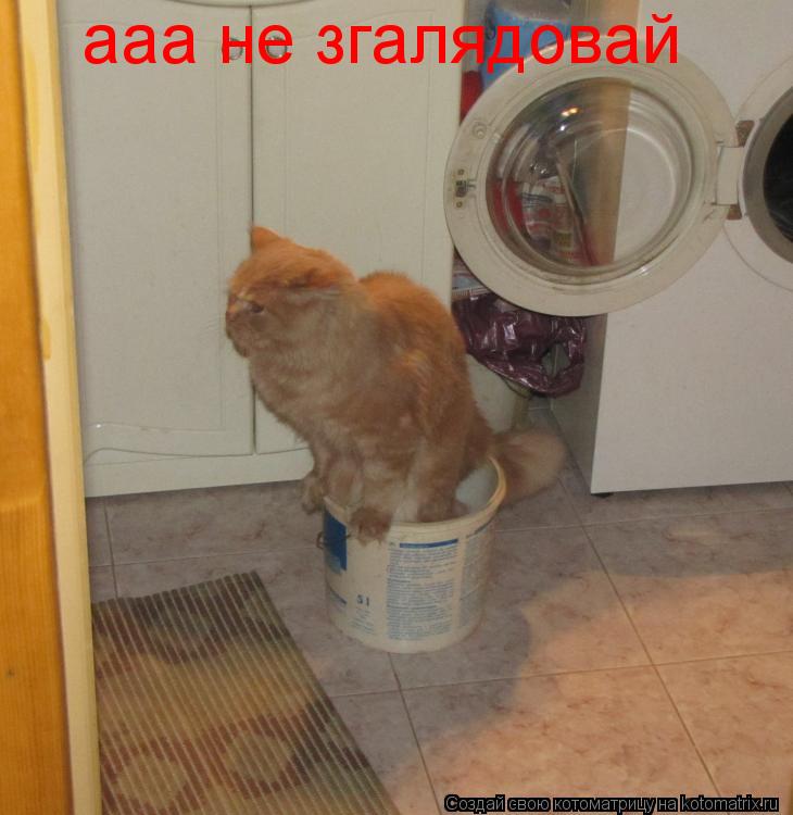 Котоматрица: ааа не згалядовай