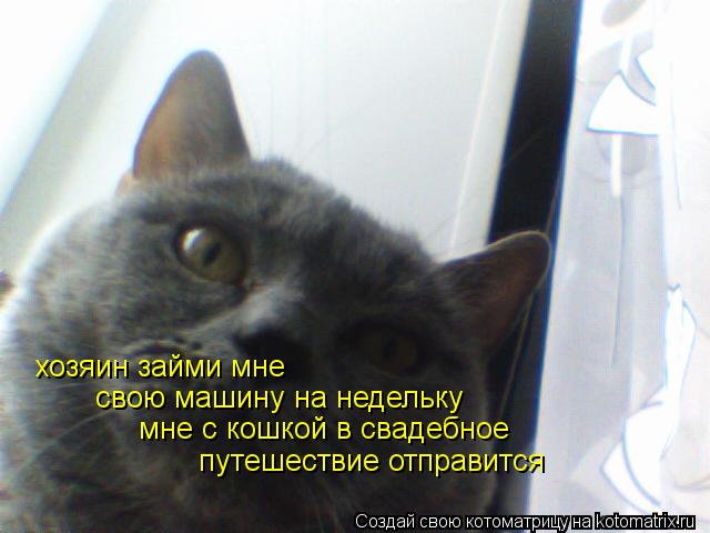 Котоматрица: хозяин займи мне свою машину на недельку  мне с кошкой в свадебное  путешествие отправится