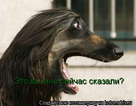 Котоматрица: -Это вы мне сейчас сказали?