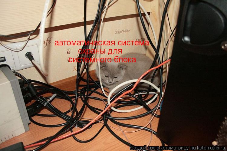 Котоматрица: системного блока автоматическая система  охраны для