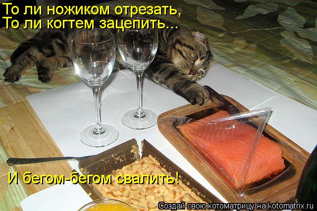 Котоматрица: То ли ножиком отрезать,  То ли когтем зацепить... И бегом-бегом свалить!