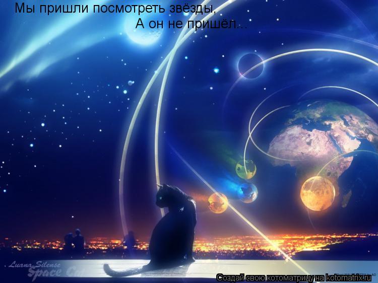 Котоматрица: Мы пришли посмотреть звёзды, А он не пришёл...