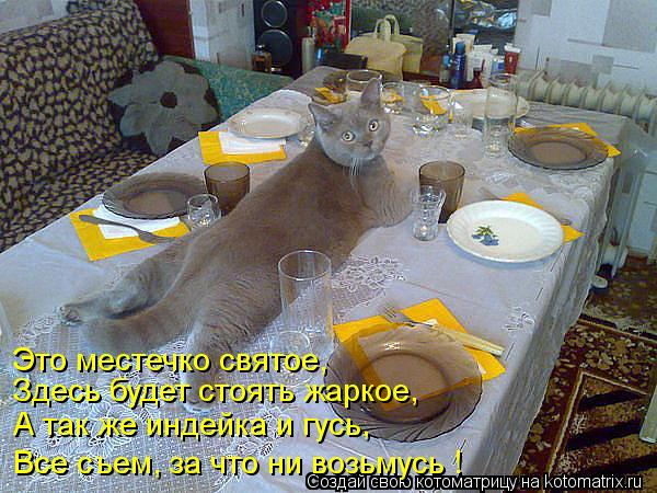 Котоматрица: Это местечко святое,  Здесь будет стоять жаркое, А так же индейка и гусь, Все съем, за что ни возьмусь !