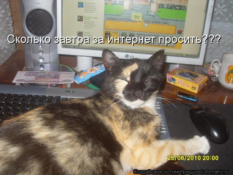 Котоматрица: Сколько завтра за интернет просить???