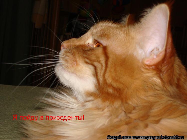 Котоматрица: Я пойду в призеденты!