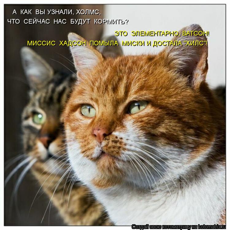 Котоматрица: А  КАК  ВЫ УЗНАЛИ, ХОЛМС, ЧТО  СЕЙЧАС  НАС  БУДУТ  КОРМИТЬ? ЭТО  ЭЛЕМЕНТАРНО, ВАТСОН! МИССИС  ХАДСОН  ПОМЫЛА  МИСКИ И ДОСТАЛА "ХИЛС"!