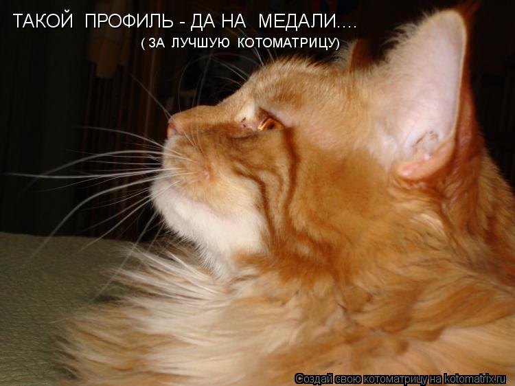 ТАКОЙ ПРОФИЛЬ - ДА НА МЕДАЛИ.... ( ЗА ЛУЧШУЮ КОТОМАТРИЦУ)... Котоматрица: ТАКОЙ ПРОФИЛЬ - ДА НА МЕДАЛИ.... ( ЗА ЛУЧШУЮ КОТОМАТРИЦУ)