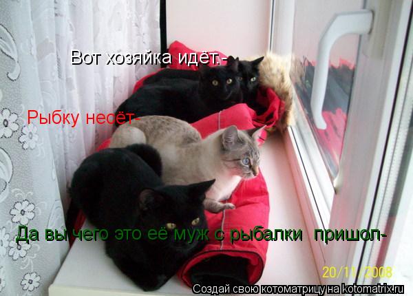 Котоматрица: Вот хозяйка идёт.- Рыбку несёт- Да вы чего это её муж с рыбалки  пришол-