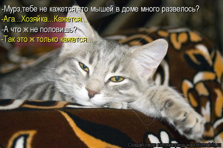 -Мурз,тебе не кажется,что мышей в доме много развелось? -Ага...Хозяйка...Кажется... -А что ж не полов... Котоматрица: -Мурз,тебе не кажется,что мышей в доме много развелось? -Ага...Хозяйка...Кажется... -А что ж не половишь? -Так это ж только кажется...