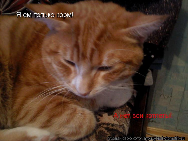 Котоматрица: Я ем только корм! А нет вои котлеты!