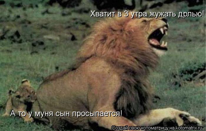 Котоматрица: Хватит в 3 утра жужать дрлью! А то у муня сын просыпается!