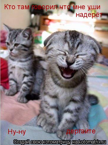 Котоматрица: Кто там говорил что мне уши надерёт Ну-ну дергайте