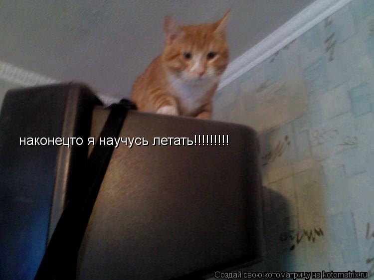 Котоматрица: наконецто я научусь летать!!!!!!!!!