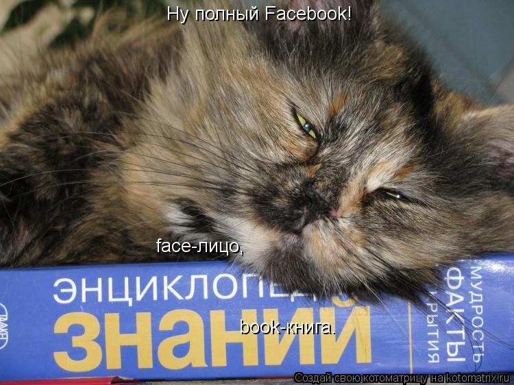 Котоматрица: Ну полный Facebook! face-лицо, book-книга.