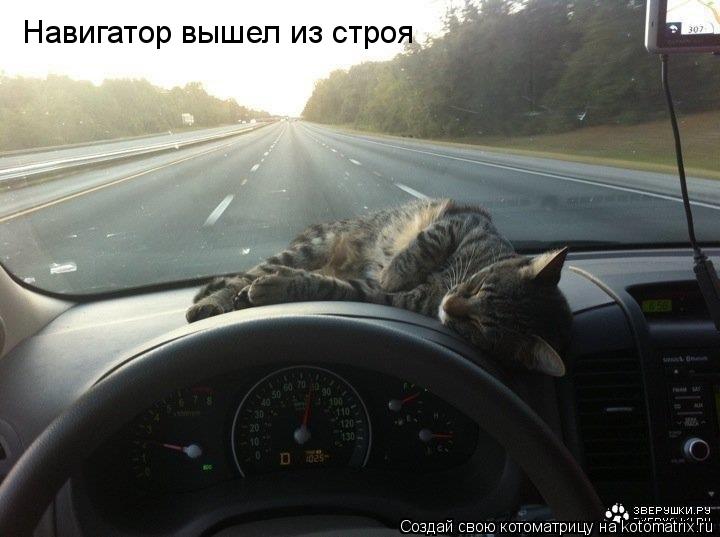 Котоматрица: Навигатор вышел из строя