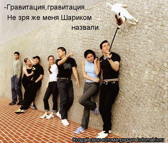 Котоматрица: -Гравитация,гравитация... Не зря же меня Шариком назвали.