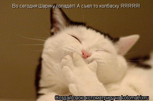 Котоматрица: Во сегодня Шарику попадёт! А съел то колбаску ЯЯЯЯЯ!
