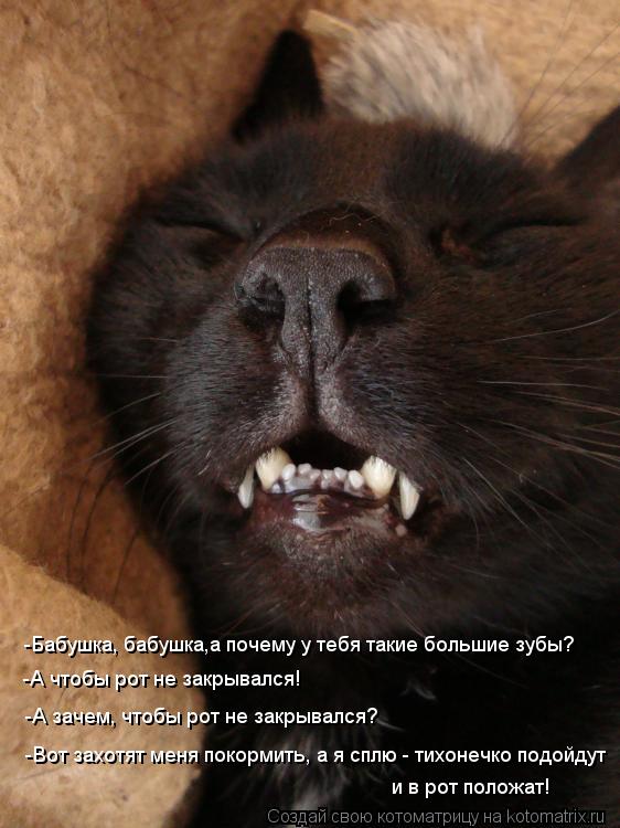 -Бабушка, бабушка,а почему у тебя такие большие зубы? -А чтобы рот не закрывался! -А зачем, чтобы рот... Котоматрица: -Бабушка, бабушка,а почему у тебя такие большие зубы? -А чтобы рот не закрывался! -А зачем, чтобы рот не закрывался? -Вот захотят меня покормит
