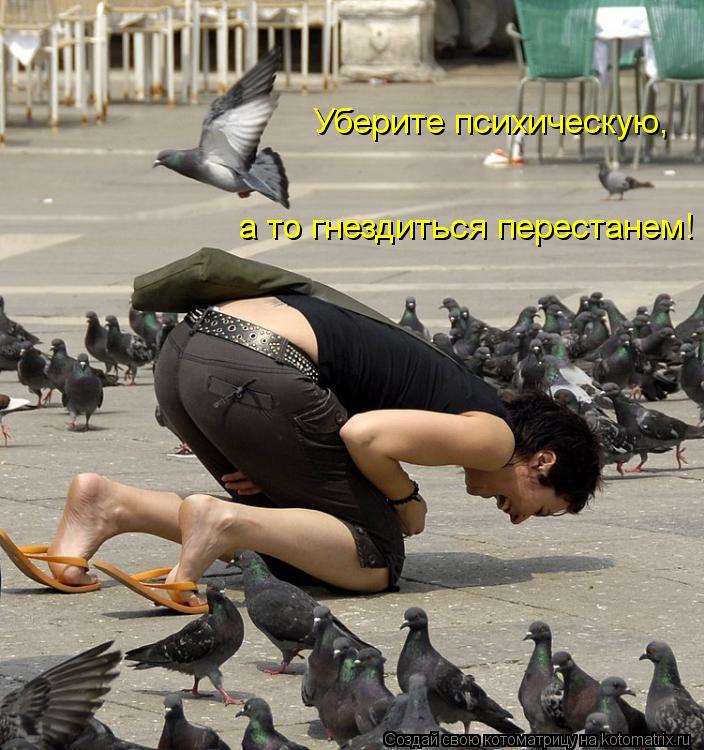 Уберите психическую, а то гнездиться перестанем!... Котоматрица: Уберите психическую, а то гнездиться перестанем!