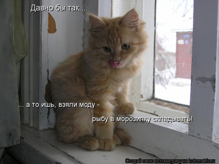 Давно бы так... ... а то ишь, взяли моду - рыбу в морозилку складывать!... Котоматрица: Давно бы так... ... а то ишь, взяли моду - рыбу в морозилку складывать!