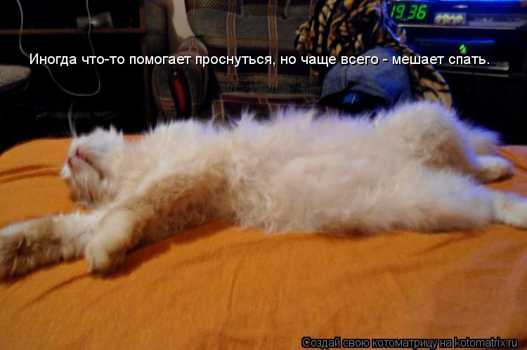Иногда что-то помогает проснуться, но чаще всего - мешает спать.... Котоматрица: Иногда что-то помогает проснуться, но чаще всего - мешает спать.