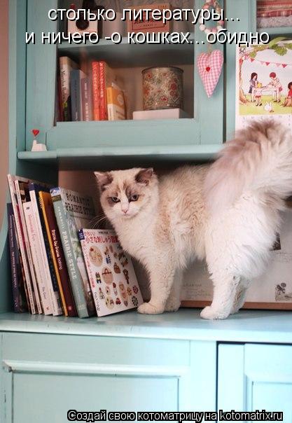 Котоматрица: столько литературы... и ничего -о кошках...обидно