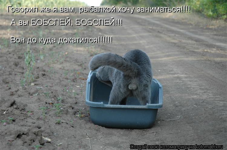 Говорил же я вам, рыбалкой хочу заниматься!!!! А вы БОБСЛЕЙ, БОБСЛЕЙ!!! Вон до куда докатился!!!!!!... Котоматрица: Говорил же я вам, рыбалкой хочу заниматься!!!! А вы БОБСЛЕЙ, БОБСЛЕЙ!!! Вон до куда докатился!!!!!!