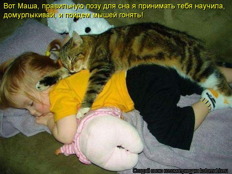 Вот Маша, правильную позу для сна я принимать тебя научила, домурлыкивай, и пойдем мышей гонять!... Котоматрица: Вот Маша, правильную позу для сна я принимать тебя научила, домурлыкивай, и пойдем мышей гонять!