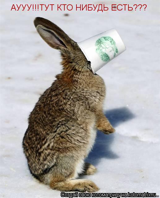 АУУУ!!!ТУТ КТО НИБУДЬ ЕСТЬ???... Котоматрица: АУУУ!!!ТУТ КТО НИБУДЬ ЕСТЬ???