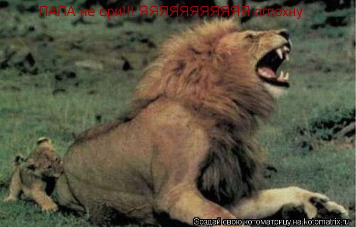 ПАПА не ори!!! ЯЯЯЯЯЯЯЯЯЯЯ оглохну... Котоматрица: ПАПА не ори!!! ЯЯЯЯЯЯЯЯЯЯЯ оглохну
