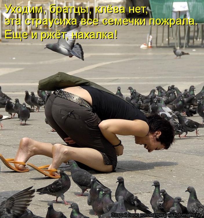 Уходим, братцы, клёва нет, эта страусиха все семечки пожрала. Еще и ржёт, нахалка!... Котоматрица: Уходим, братцы, клёва нет, эта страусиха все семечки пожрала. Еще и ржёт, нахалка!