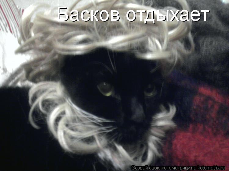 Басков отдыхает... Котоматрица: Басков отдыхает