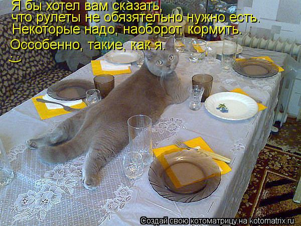 Котоматрица: Я бы хотел вам сказать, что рулеты не обязятельно нужно есть. Некоторые надо, наоборот, кормить. Оссобенно, такие, как я. (: