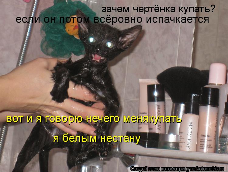 зачем чертёнка купать? если он потом всёровно испачкается вот и я говорю нечего менякупать я белым не... Котоматрица: зачем чертёнка купать? если он потом всёровно испачкается вот и я говорю нечего менякупать я белым нестану