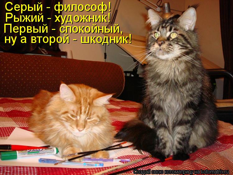 Серый - философ! Рыжий - художник! Первый - спокойный, ну а второй - шкодник!... Котоматрица: Серый - философ! Рыжий - художник! Первый - спокойный, ну а второй - шкодник!
