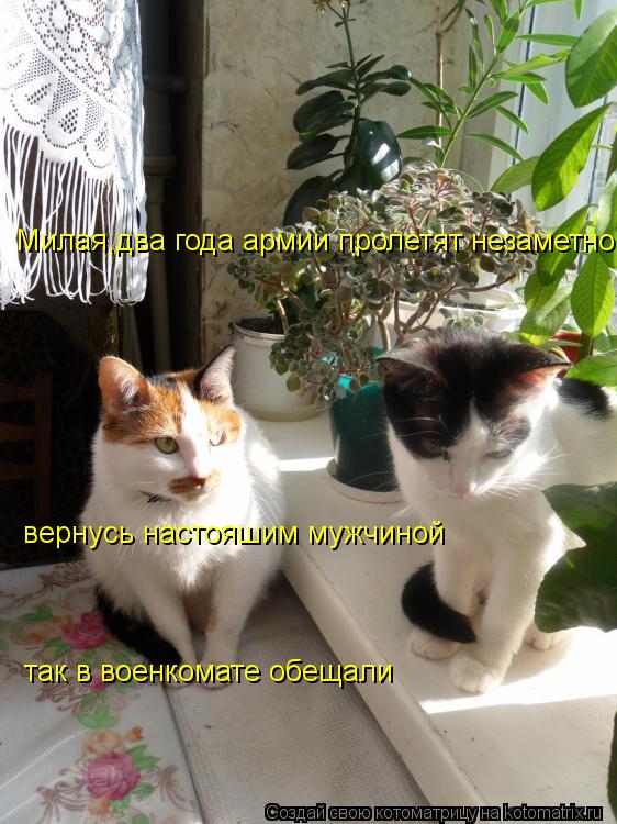 Милая,два года армии пролетят незаметно вернусь настояшим мужчиной так в военкомате обещали... Котоматрица: Милая,два года армии пролетят незаметно вернусь настояшим мужчиной так в военкомате обещали