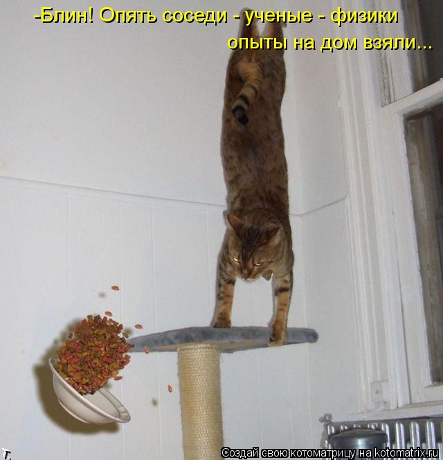 -Блин! Опять соседи - ученые - физики опыты на дом взяли...... Котоматрица: -Блин! Опять соседи - ученые - физики опыты на дом взяли...