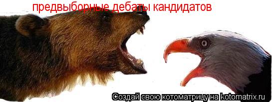 Котоматрица: предвыборные дебаты кандидатов