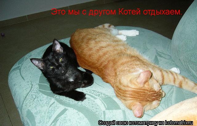 Котоматрица: Это мы с другом Котей отдыхаем.