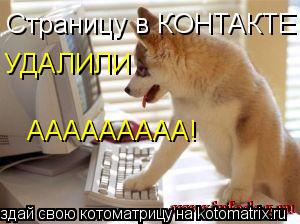 Котоматрица: Страницу в КОНТАКТЕ УДАЛИЛИ ААААААААА!
