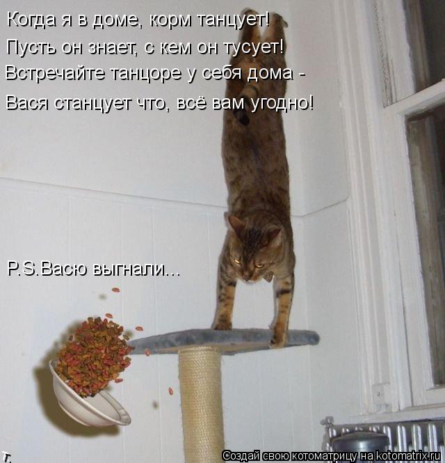 Котоматрица: Когда я в доме, корм танцует! Пусть он знает, с кем он тусует! Встречайте танцоре у себя дома - Вася станцует что, всё вам угодно! P.S.Васю выгнал